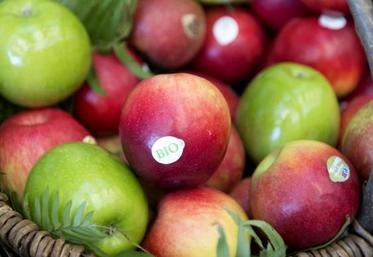 aides agriculture bio