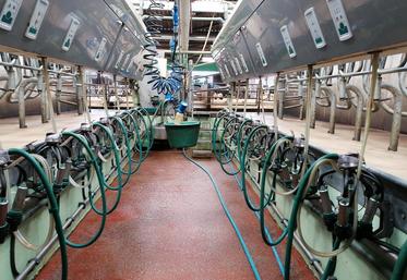 collecte de lait de vache en baisse