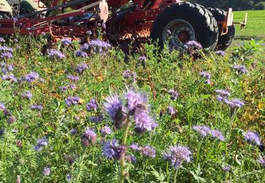 intercultures Paraclet