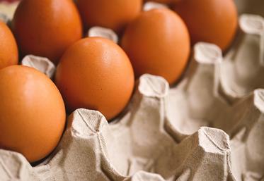 journée mondiale de l'oeuf