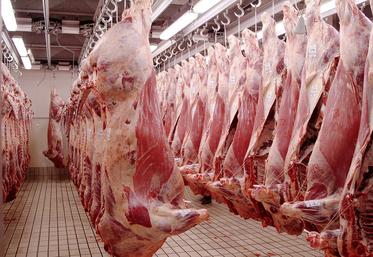 Sur les quelque 230 abattoirs de boucherie français, seuls seront accompagnés ceux qui seront «identifiés comme stratégiques pour un territoire ou une filière». 