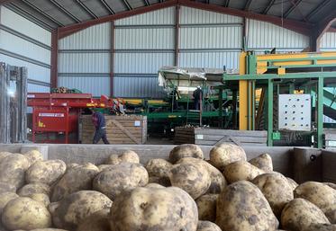 Pour Alain Dequeker, président des Producteurs pour Aviko, «produire de la pomme de terre pour Aviko en 2024 ne sera pas moins attractif qu’en 2023».