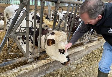 Stéphane Leullier chouchoute chacune de ses vaches, elles ont également le droit à un prénom.