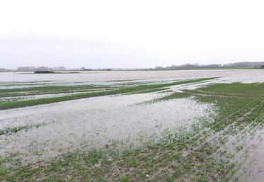 En baie d’Authie, il faudra certainement atteindre fin mars ou début avril pour que l’eau se retire des terres.