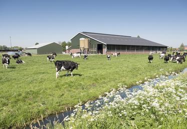 Le 16 janvier, le Conseil économique social et environnemental (Cese) a adopté à une écrasante majorité un rapport intitulé «Relever les défis de l’élevage français pour assurer sa pérennité». 