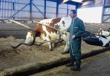 Parmi les «victoires» dont l’UPLP se réjouit, l’exclusion de l’élevage bovin de la directive sur les émissions industrielles (IED). 