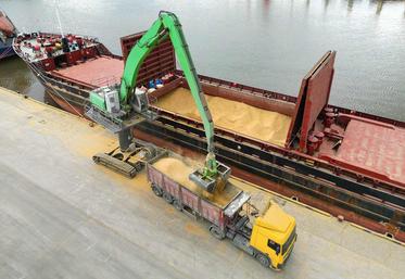 En employant ses outils agressifs pour remporter des appels d’offre,  la Russie parvient à orienter les cours mondiaux des grains sur la plupart  des places de marché. 