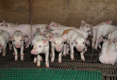 Pour sortir de l’impasse actuelle, l’interprofession a initié ces derniers mois une démarche de responsabilité sociétale (RSO) afin de définir la stratégie à même de préserver d’ici 2035 l’autosuffisance du secteur aujourd’hui menacée. 