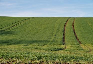 jachère obligatoire dérogation