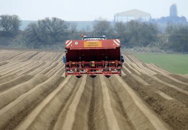 Pour le Comité Nord Plants, l’avenir radieux de la filière pommes de terre passe aussi par une meilleure rémunération des producteurs de plants.  