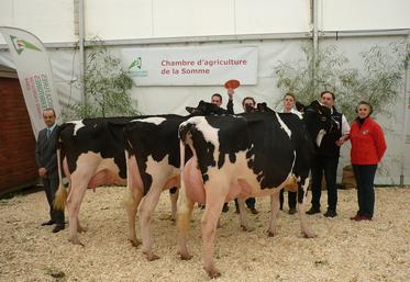 Alors qu’un concours départemental se profile le 1er avril à l’occasion de la Foire de Montdidier, l’association donne d’ores  et déjà rendez-vous à ses adhérents pour une formation à la préparation des animaux. 