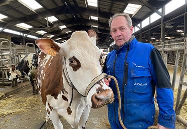 Stéphane Leullier et sa vache Noëlle sont sur le départ du concours général  agricole du Sia. 