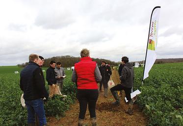 Nicolas Latraye, de Terres Inovia, présente le concept de colza robuste.