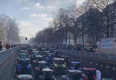 manifestation Bruxelles