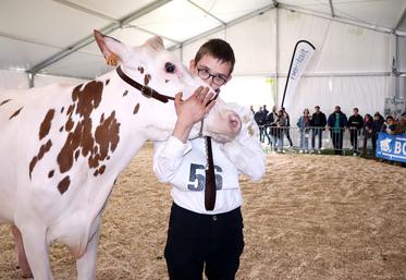 Le concours départemental de la race holstein reste l’un des temps forts de la Foire agricole de Montdidier.