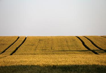 aides Pac versement calendrier