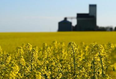 Bien que les résultats de l’exercice 2023 soient inférieurs à ceux de l’année précédente, le groupe Avril a atteint les objectifs qu’il s’était fixés en lançant son «Plan Avril 2023» en 2019.