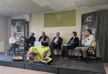 Les solutions de désherbage pour les champs de racines d’endives n’en finissent pas de focaliser l’attention des endiviers.