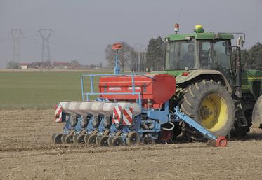Le retard pris dans les semis inquiète la CGB comme l’Institut technique de la betterave (ITB) avec un risque «jaunisse»  fort cette année. 