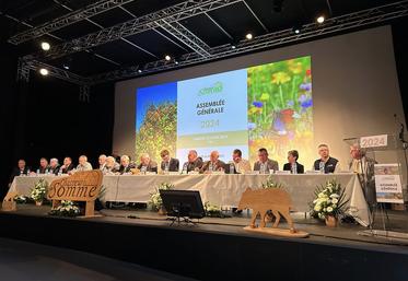 Seules quelques communes des Bas-Champs devraient avoir la possibilité de déroger en ouvrant l’espèce «lièvre»  à partir du 15 septembre.  