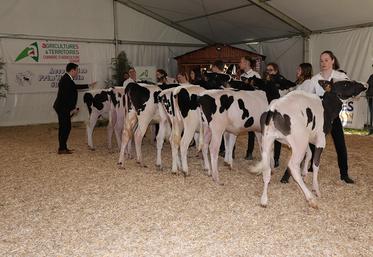 Présentation des Prim'holstein.