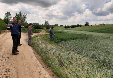 Il faudra attendre un certain nombre de jours de beau temps pour pouvoir retravailler certaines parcelles et évaluer les pertes. 