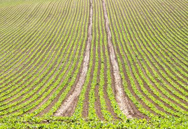 Dans un contexte de forte pluviométrie, intervenir à bon escient n’est pas facile, même s’il faut être vigilant.