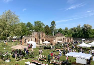 Les Journées doullennaises des Jardins d’Agrément réunissent principalement, une soixantaine de pépiniéristes, la plupart collectionneurs, qui exposent une grande sélection de végétaux. 