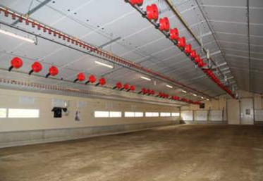 Afin de répondre à une consommation française «record», le CNPO vise l’implantation de trois-cents nouveaux poulaillers d’ici 2030. 