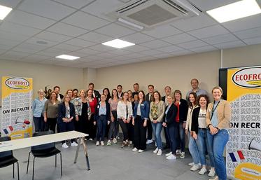 L’usine de Péruwelz compte six lignes de production pour un volume de produits fabriqués à base de pommes de terre  de 240 000 tonnes. 