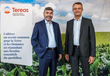 Olivier Leducq, directeur général et Gérard Clay, président du conseil d'administration de la coopérative Tereos lors de la présentation de ses résultats.