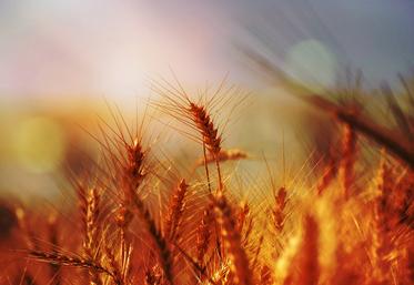 Les aléas climatiques extrêmes semblent n’avoir jamais autant fait l’actualité que ces dernières semaines, et c’est sans compter les tempêtes et inondations en France en fin d’année, ainsi que la sécheresse grave qui affecte certaines régions.