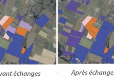 L’échange de jouissance permet d’exploiter dans de meilleures conditions culturales.