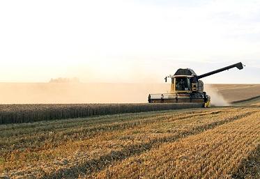 La dérogation à la durée du temps du travail doit permettre un achèvement rapide des récoltes de céréales, pailles, lin et légumes. 