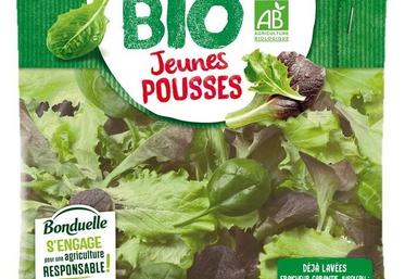 Bonduelle salades en sachet