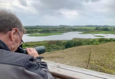 Tout au long du parcours, Philippe Carruette et son équipe de guides font découvrir au public  le comportement fascinant des oiseaux. 