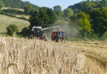 Sur le marché européen, les pays frontaliers de la France sont assurés d’acheter  les quantités de grains habituelles. 