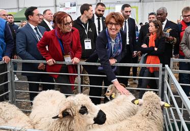 En visitant le Hall réservé aux ovins, Annie Genevard a évoqué la crise sanitaire provoquée par la FCO.
