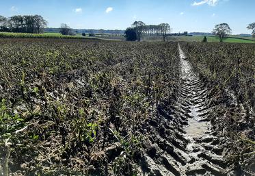 La Fresque des sols permet de comprendre comment est fait un sol, les pressions qui s’exercent sur les sols et d’aborder les leviers pour les préserver. 