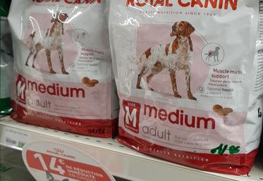 Royal Canin croquettes Retriever Club de France chasse Rigaux