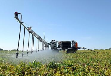 Le robot autonome peut irriguer seul entre 12 et 25 ha par jour.