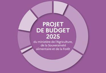 Le projet de loi de finances pour 2025 reprend en grande partie les mesures décidées au cours du premier semestre 2024, sous le gouvernement de Gabriel Atal  et faisant suite aux manifestations des agriculteurs. 