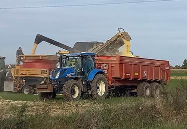 Organisation d’un chantier de récolte maïs pâte humide.
