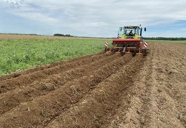 Réalisation des pré-buttes à l’automne avec le matériel mis à disposition par le lycée agricole de Tilloy-lès-Mofflaines dans le cadre de l’essai pré-buttage du GIEE.