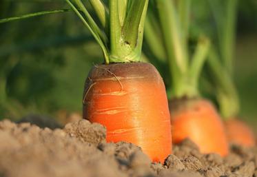 Parmi les revendications figure le retrait des produits phytosanitaires.