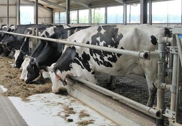 L’Union des éleveurs livrant Lactalis a obtenu de Lactalis de repousser «au moins à janvier» toute rupture formelle de contrat. 