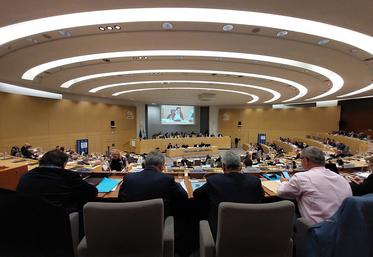 Le 21 novembre, les élus régionaux ont adopté une motion d'urgence en faveur du monde agricole. 