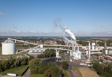 Fondée en 1890, la distillerie-sucrerie de Lillers a été rachetée en 1924 par un groupe d’agriculteurs qui se sont constitués en coopérative pour relancer l’activité, et la développer. 