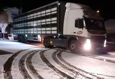 L’adoption de la proposition de règlement européen sur «la protection des animaux pendant le transport et autres opérations annexes» représenterait un surcoût très important pour les filières porcines française et européenne.