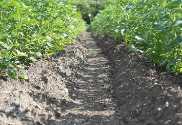 Pour le groupe pilote de Caix, l’objectif est de limiter la concentration en nitrate sous-racinaire à 50 mg NO3/l, sans impacter le revenu. 